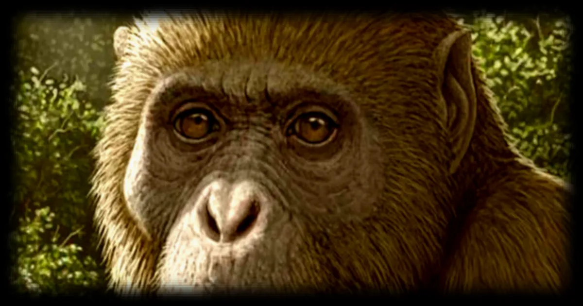 Une mâchoire vieille de 18 millions d'années révèle des secrets sur l'origine des grands singes