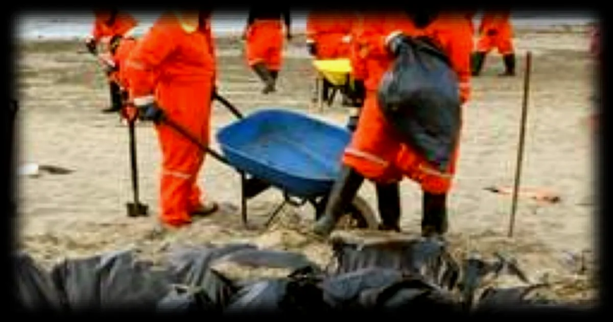 Une marée noire mystérieuse frappe la côte ouest du Mexique