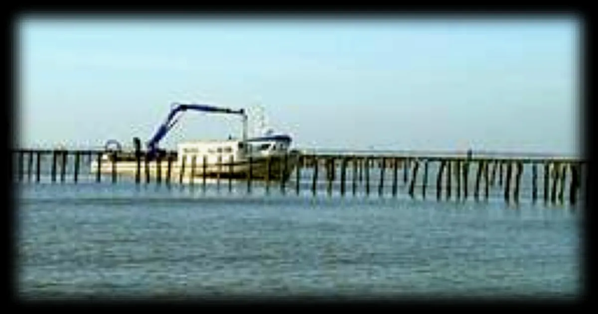 Une mytilicultrice de 39 ans perd la vie en mer en Vendée