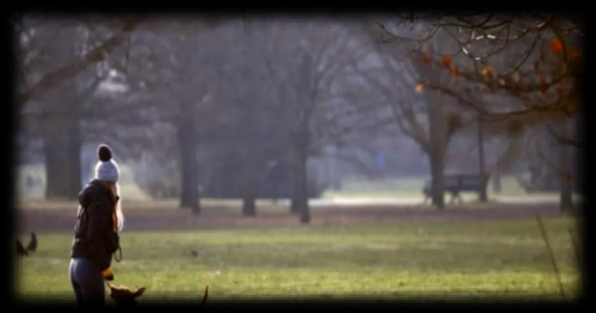 Une quinquagénaire meurt après une altercation violente dans un caniparc à Paris