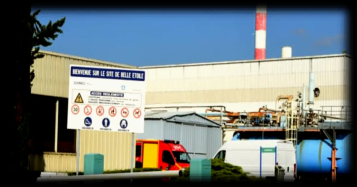 Une seule offre de reprise pour Polytechnyl, le dernier fabricant européen de fibres de polyamide, risque de mettre en péril des centaines d'emplois en France