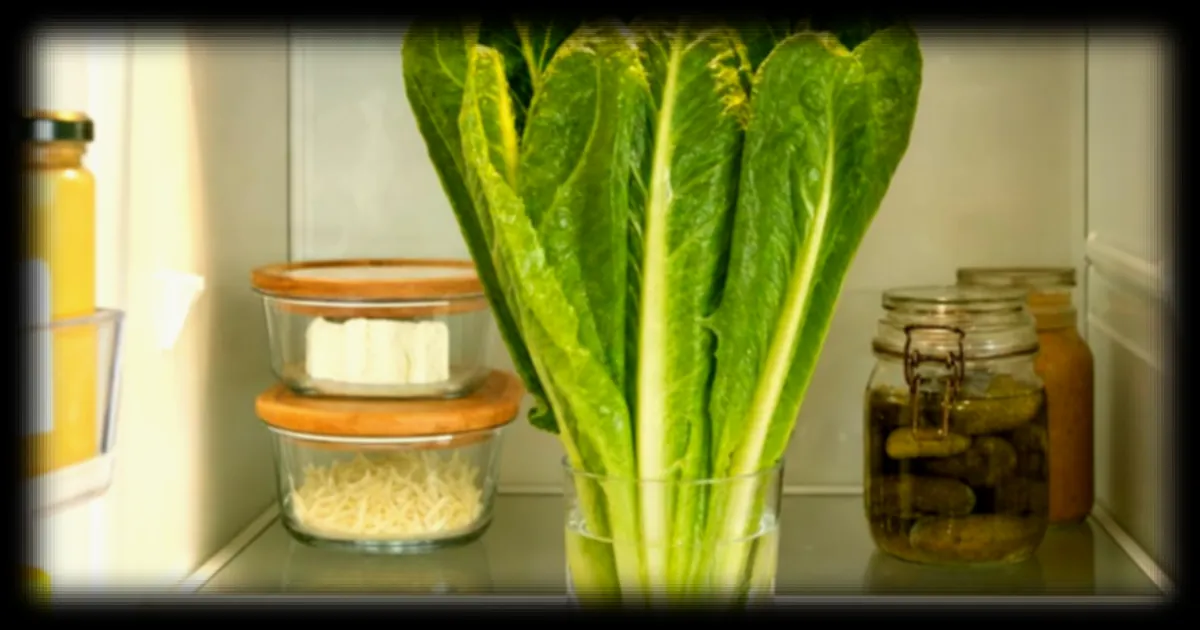 Une technique simple pour conserver ses salades croquantes pendant des semaines