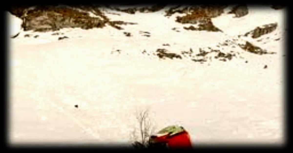 Une télécabine s'écrase dans la station de ski d'Engelberg-Titlis en Suisse, faisant un mort