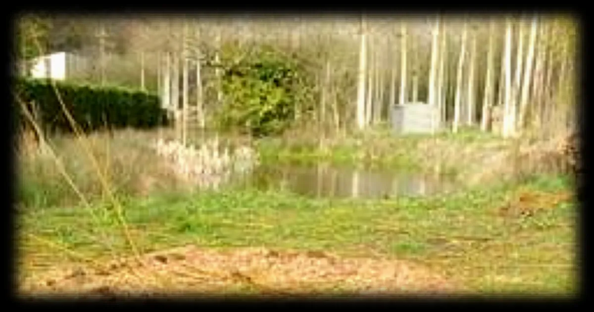 Une tonnelle végétale créée par des écoliers vandalisée dans la Sarthe