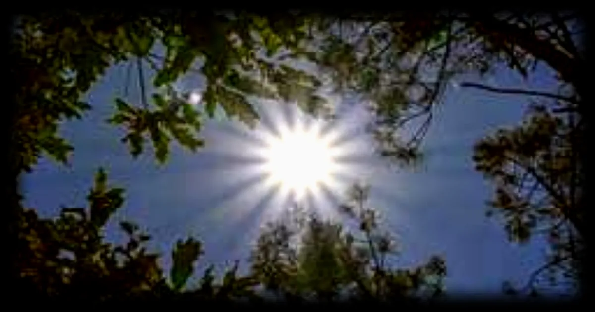 Vague de chaleur historique dans l’Ouest américain : le changement climatique en cause selon une étude du WWA