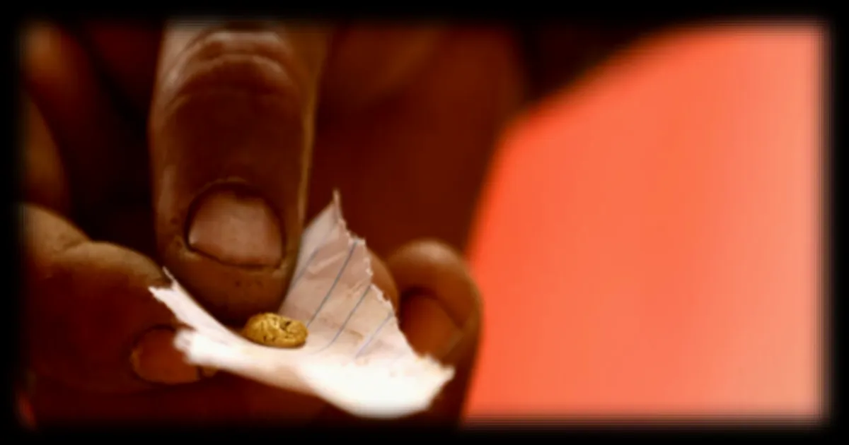 Venezuela : ouverture de l'industrie minière à l'investissement privé après le secteur pétrolier