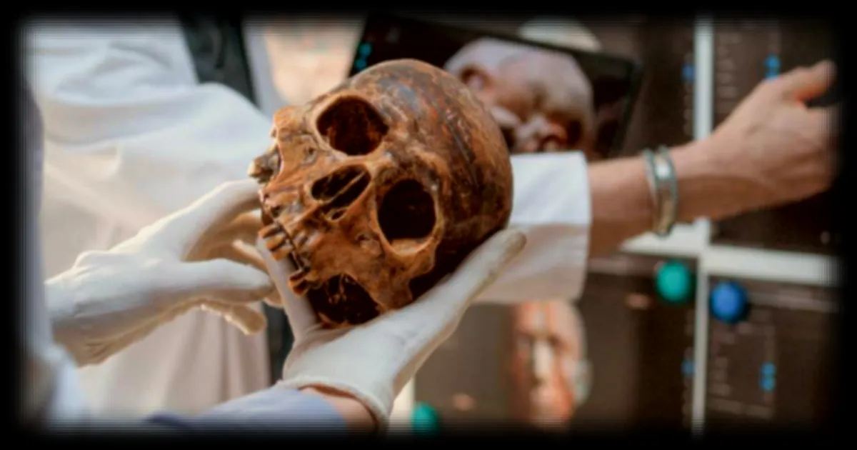 Vietnam : des crânes de 2 000 ans révèlent une pratique de beauté toujours vivante en Asie du Sud-Est