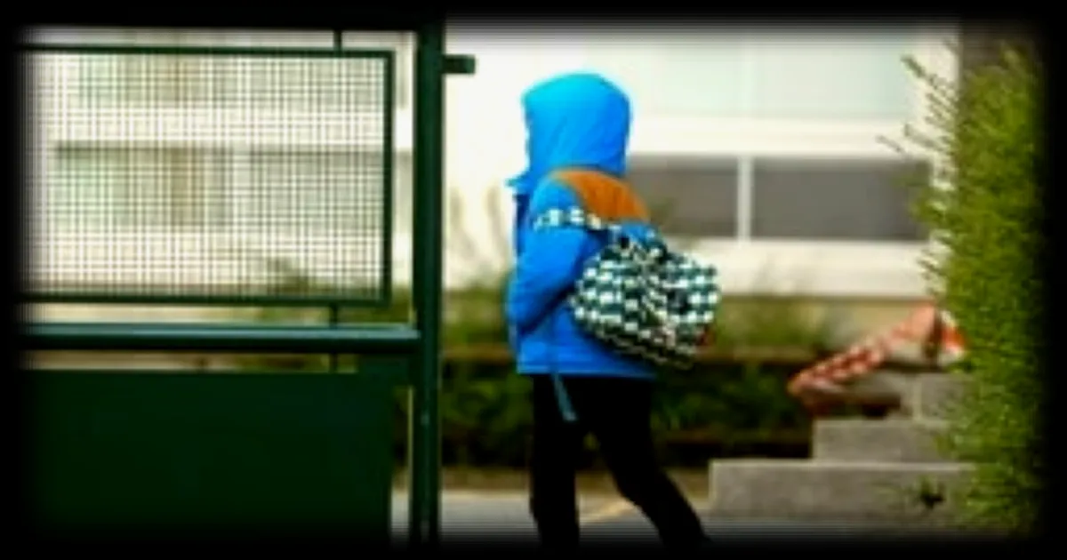 Violences sexuelles présumées à l'école de la Blancheraie à Angers : une rentrée sous haute tension