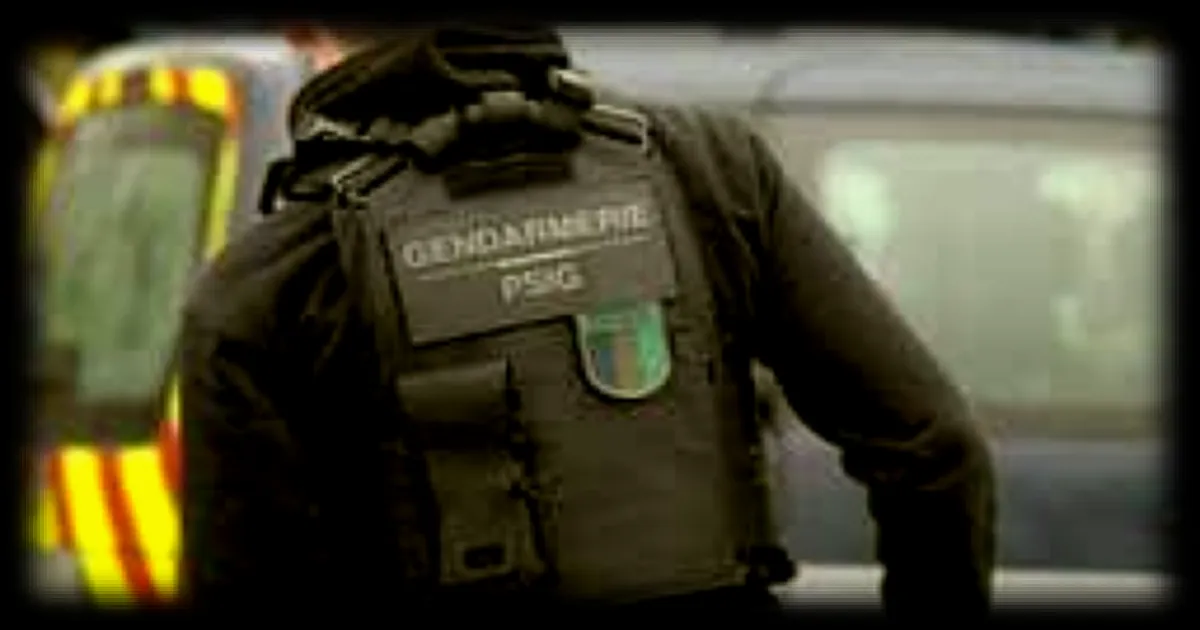 Violente rixe devant un lycée des Deux-Sèvres : les élèves confinés suite à l'affrontement