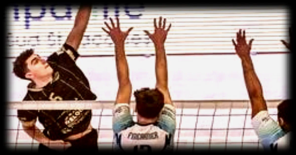 Volley-ball : Tristan Guitton, un joueur entre deux cultures, s'installe au REC volley