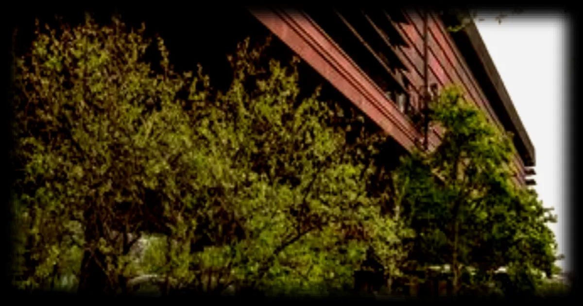 Week-end anthropologique au Musée du Quai Branly : une immersion dans les sociétés humaines