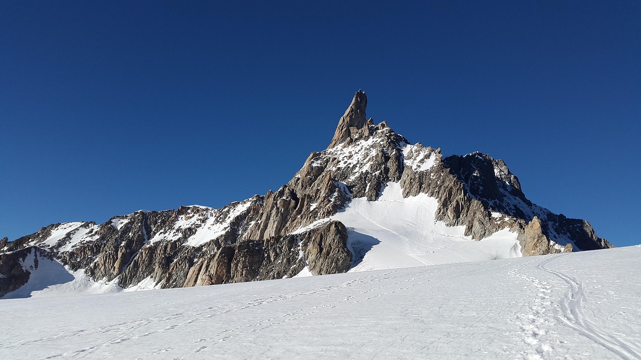 Stellantis : la chute libre de l'action, un avertissement pour les géants de l'industrie ?