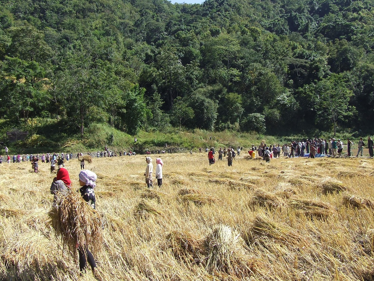 STMicroelectronics en orbite : Amazon lui promet des milliards, et après ?