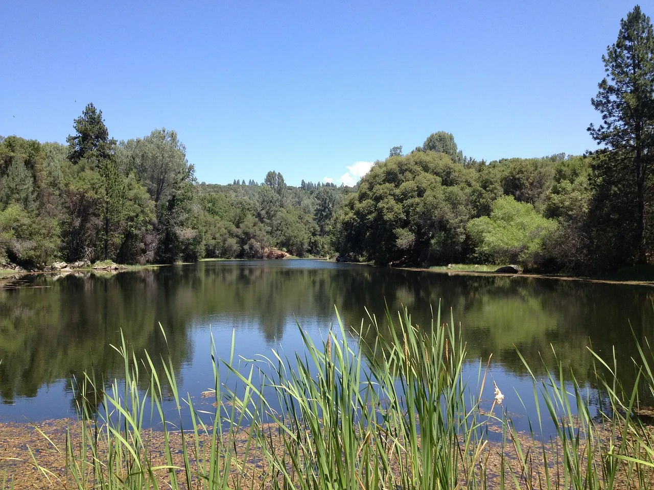 Succession bloquée : le cas complexe d'un bigame et de ses héritiers