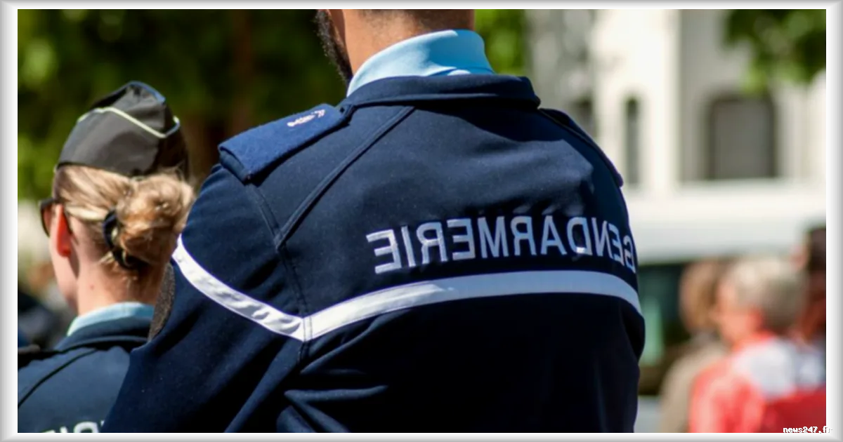 Suisse : le corps d’une infirmière disparue en mai retrouvé pendu dans un bois vaudois