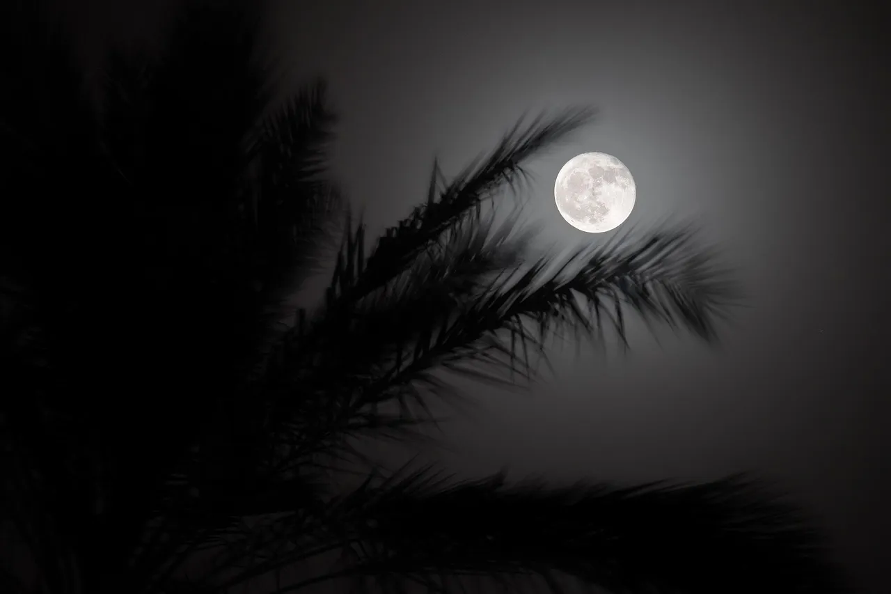 SwissBorg renforce la sécurité de ses utilisateurs face aux risques physiques : découvrez la nouvelle protection des retraits