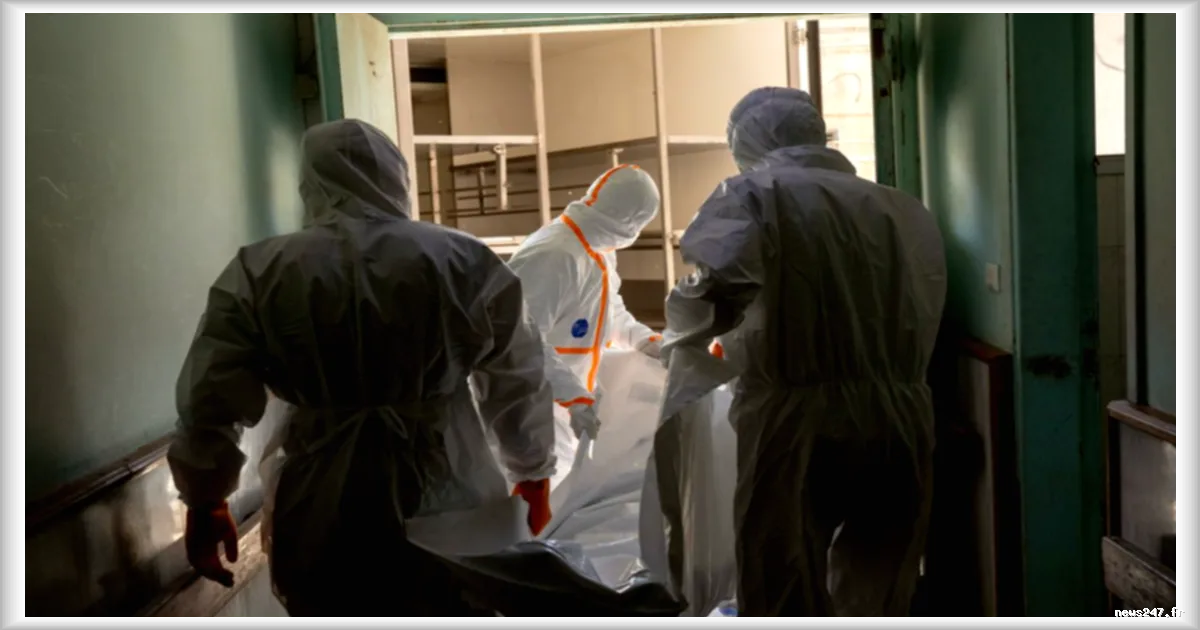 Syrie : l'ONU dénonce de possibles crimes de guerre à Souweïda