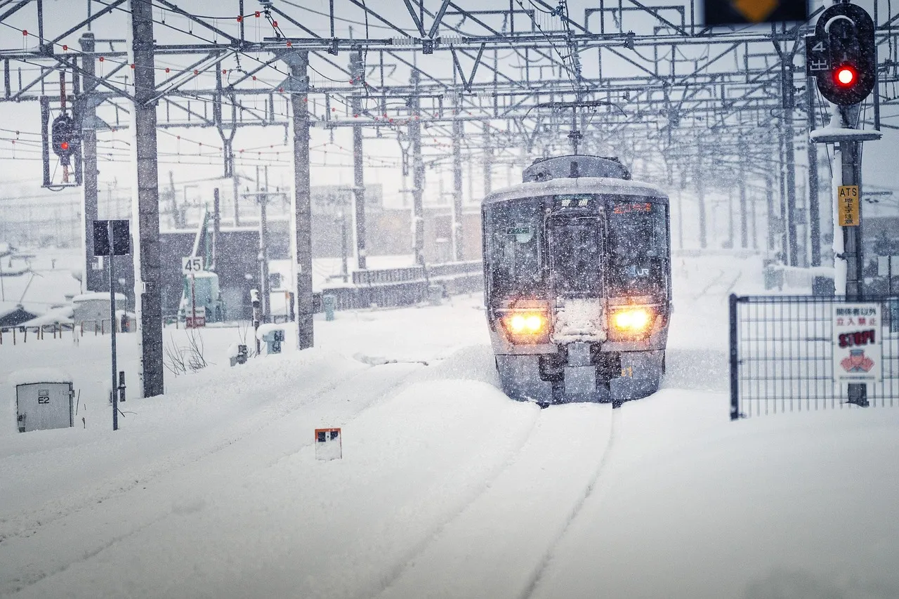 Tempête de neige sur la côte Est américaine : quelles conséquences pour les passagers français ?