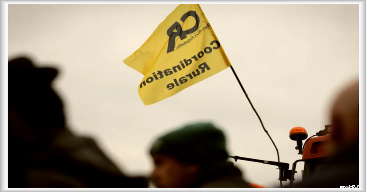 Tensions au siège de la Coordination rurale dans le Gers : un collectif de salariés alerte sur un climat délétère