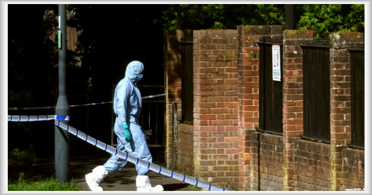 Tentative d'incendie criminel contre une synagogue à Londres : deux personnes arrêtées