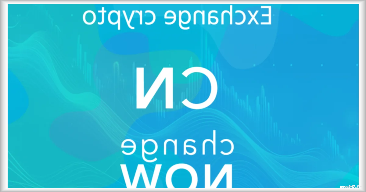 Test et Tutoriel 2026 de ChangeNOW : swap, bridge, staking sans necessite de compte