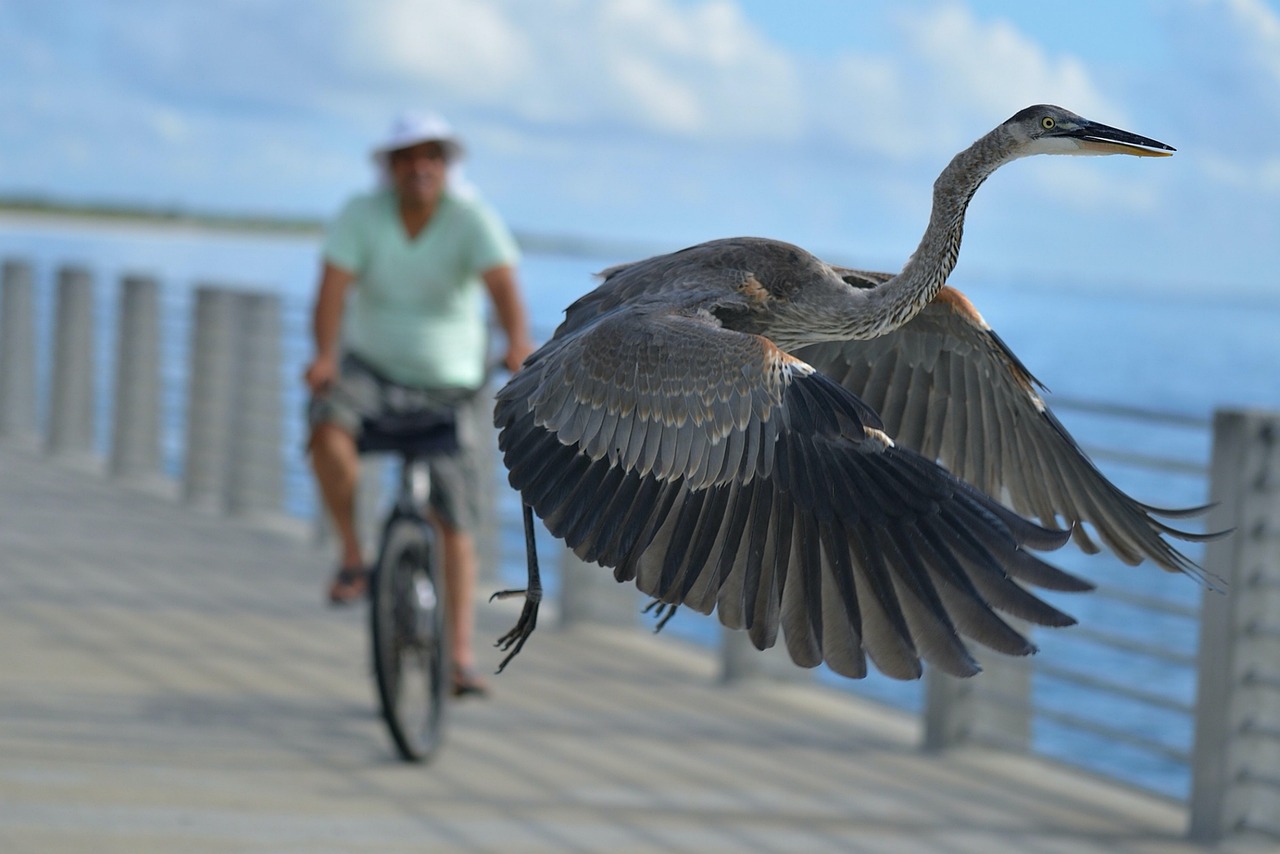 Thaïlande : le parti conservateur Bhumjaithai crée la surprise aux élections