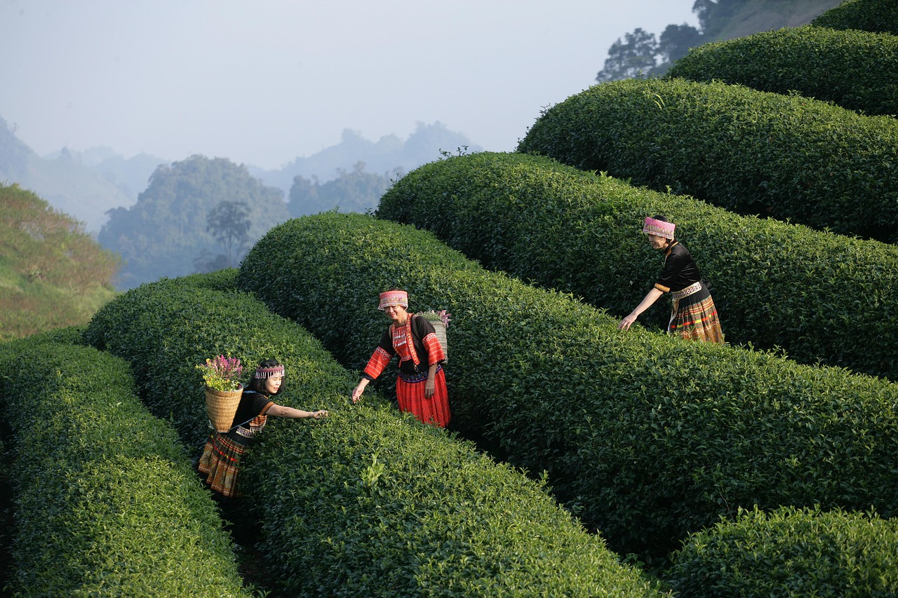 Thales embauche à tour de bras : 9000 postes à pourvoir, la France en première ligne