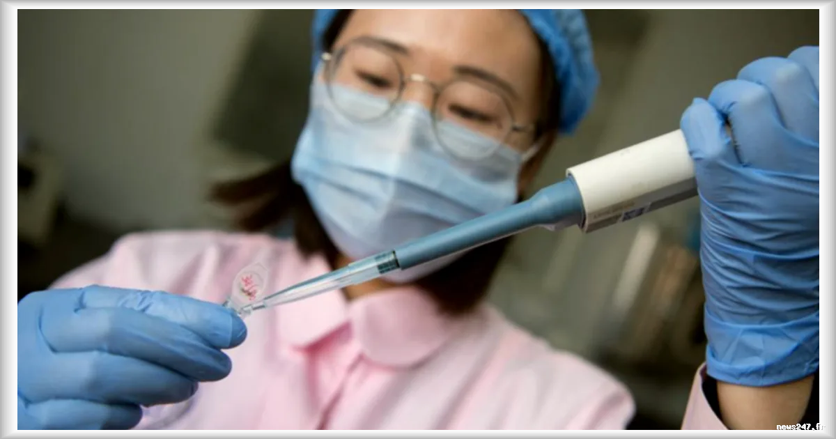 Thérapie génique en Chine : une fillette de six ans décédée lors d’un essai clinique, l’université de Shanghai ouvre une enquête