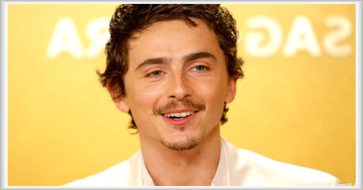 Timothée Chalamet moqué par les grands opéras pour ses propos sur l'opéra et le ballet