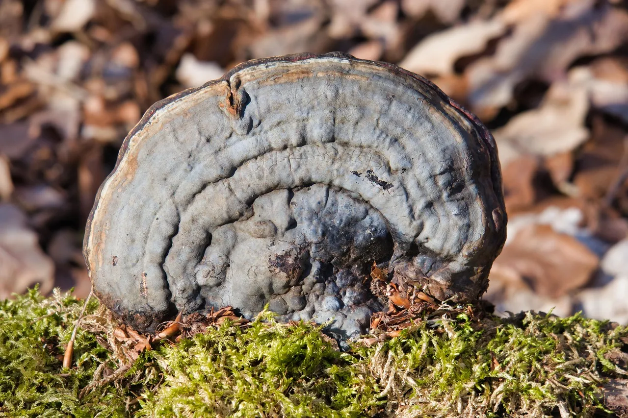 Tinder contre les cœurs brisés : une assurance pour les amours éphémères