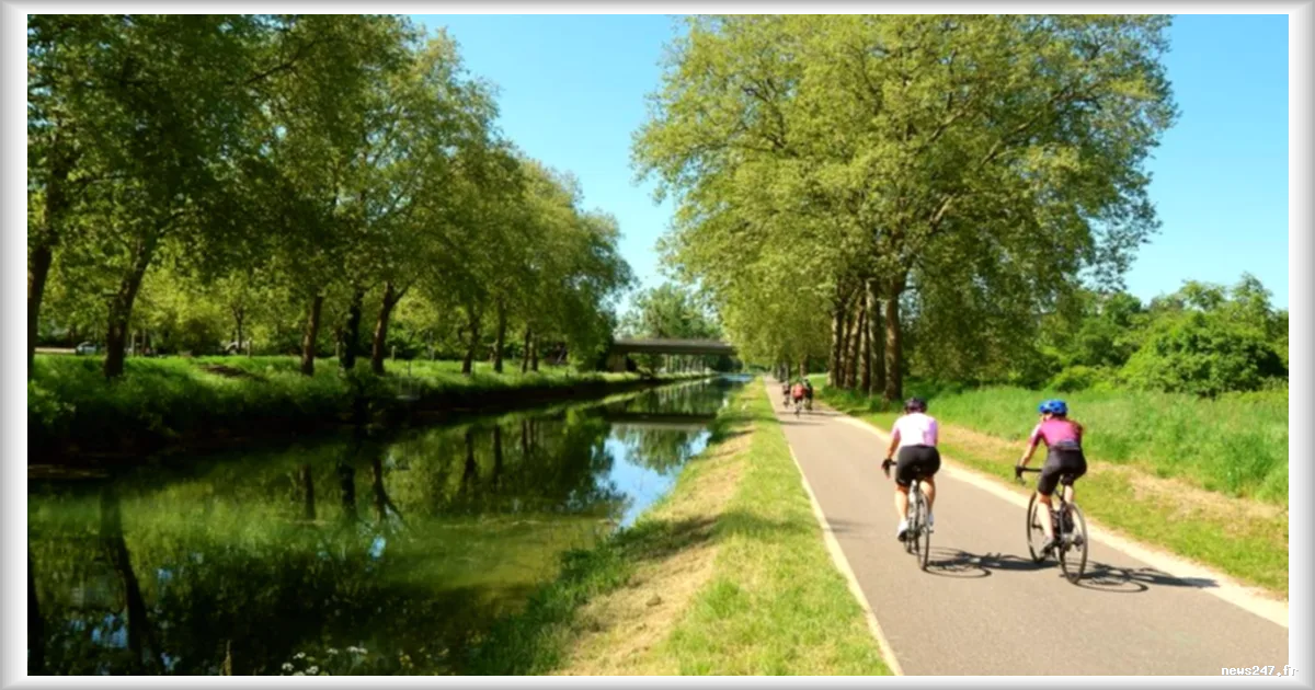 Tourisme à vélo et trains : comment l'offre ferroviaire s'adapte (ou pas) à la demande