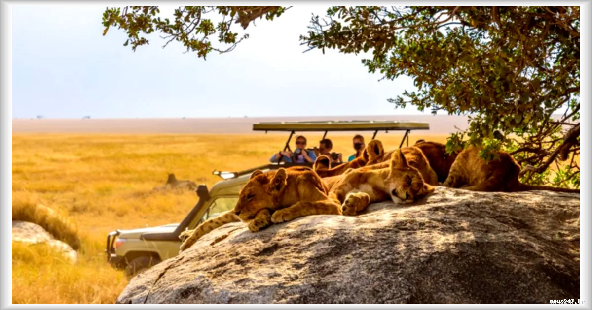 Tourisme long-courrier : les destinations africaines et asiatiques en recomposition après la crise géopolitique