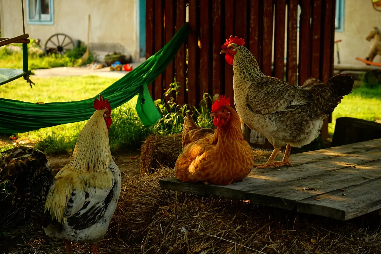 Tout ce qu'il faut savoir avant le coup d'envoi de la 22e journée de Ligue 1