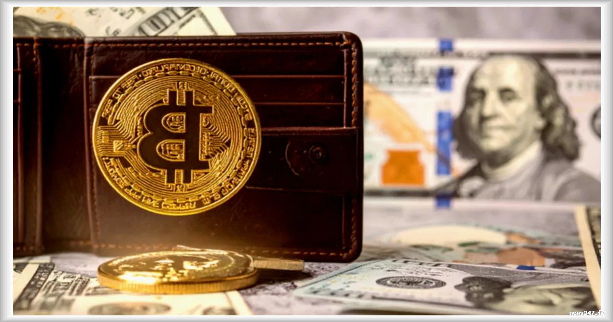 Tout ce qu'il faut savoir sur les portefeuilles crypto hybrides