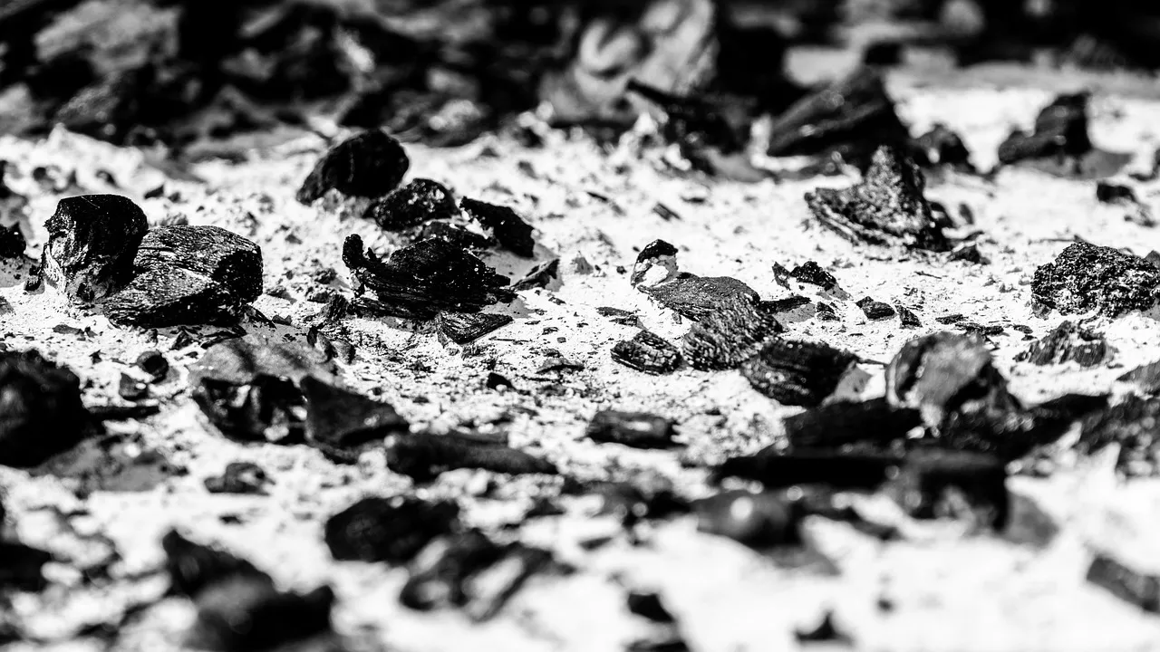 Trafic de cocaïne : le baron à l'ombre de l'Élysée