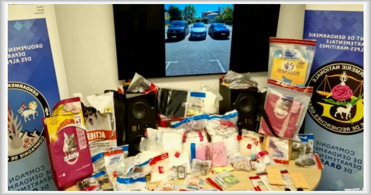 Trafic de drogue de près d’un million d’euros démantelé près de Grasse après une livraison erronée