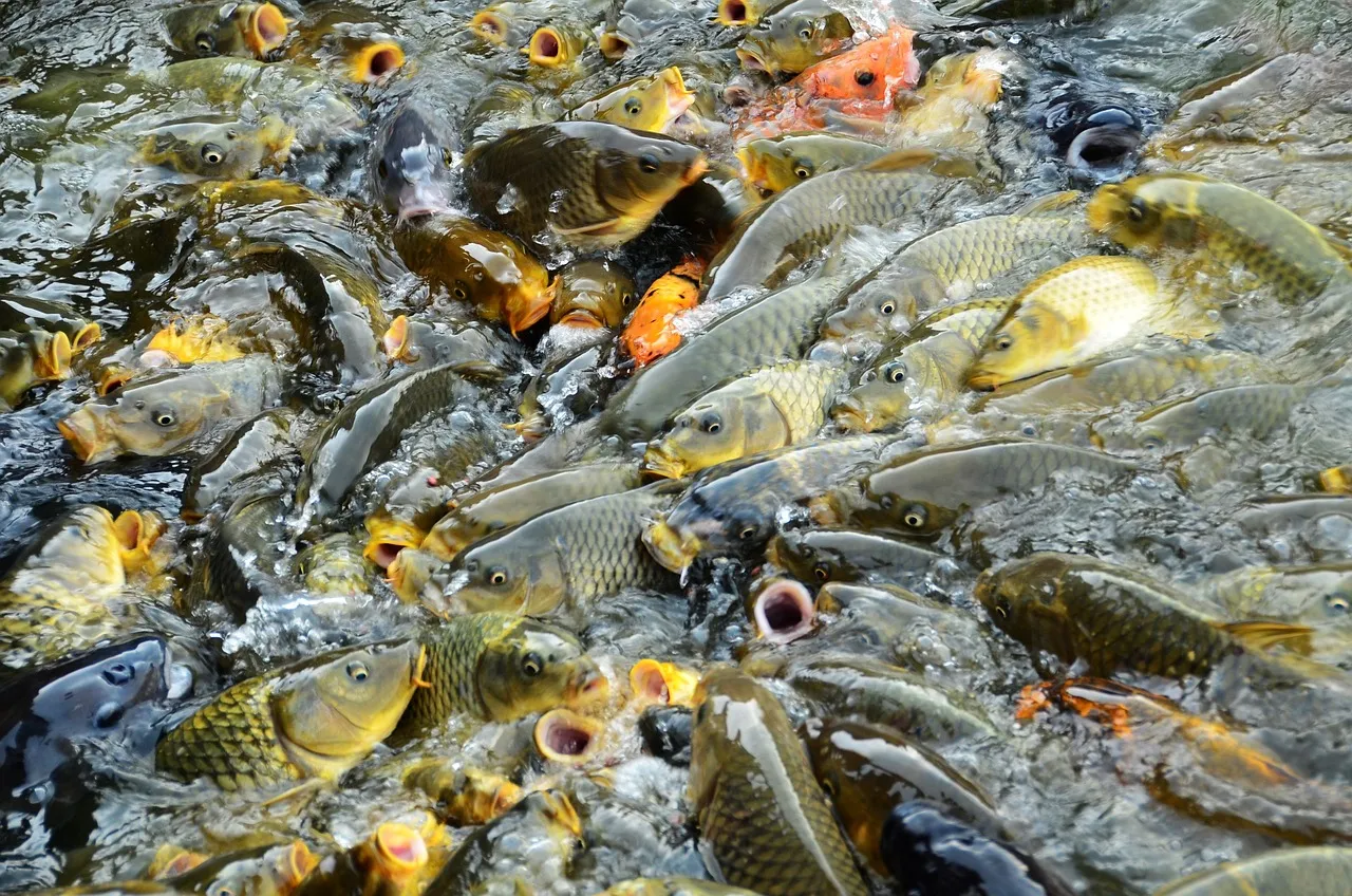 Tragédie au travail : un homme perd la vie, écrasé par une nacelle de trois tonnes dans le Doubs