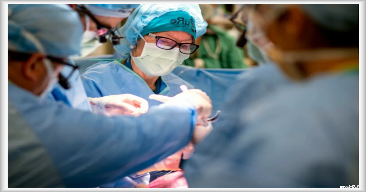 Traitement du spina-bifida avant la naissance : six bébés bénéficient de chirurgie et de cellules souches