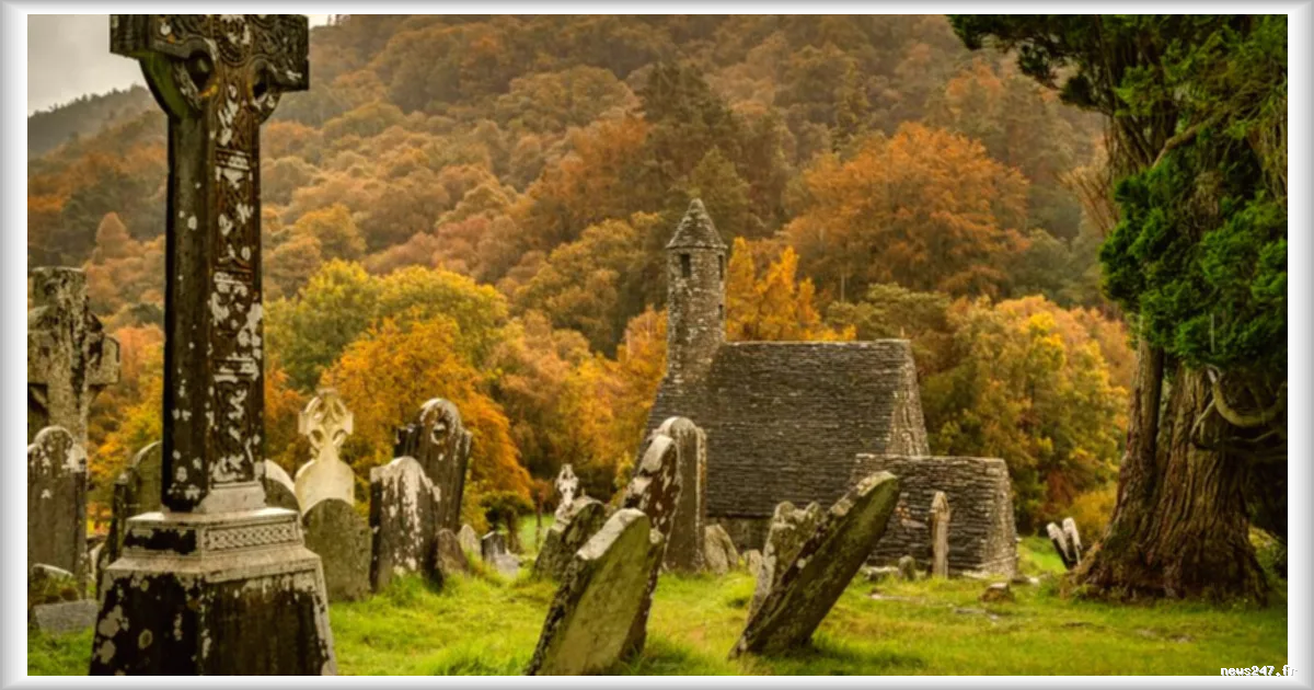 Trinité-et-Tobago : découverte macabre de 50 bébés et 6 adultes dans un cimetière