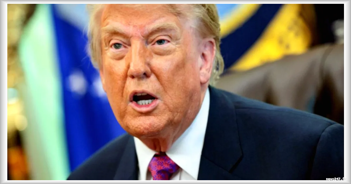 Trump et le Kremlin rejettent les craintes d'une attaque russe contre l'Otan malgré les mises en garde américaines