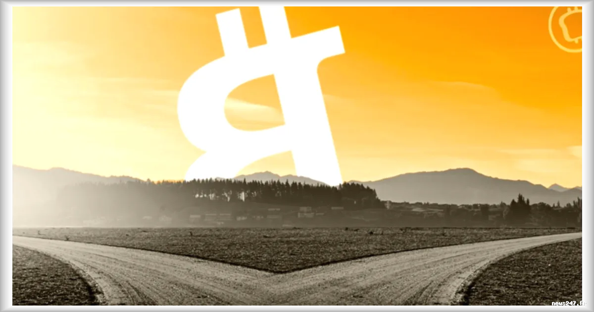 Un ancien PDG de Mt. Gox propose un hard fork de Bitcoin pour récupérer 80 000 BTC volés