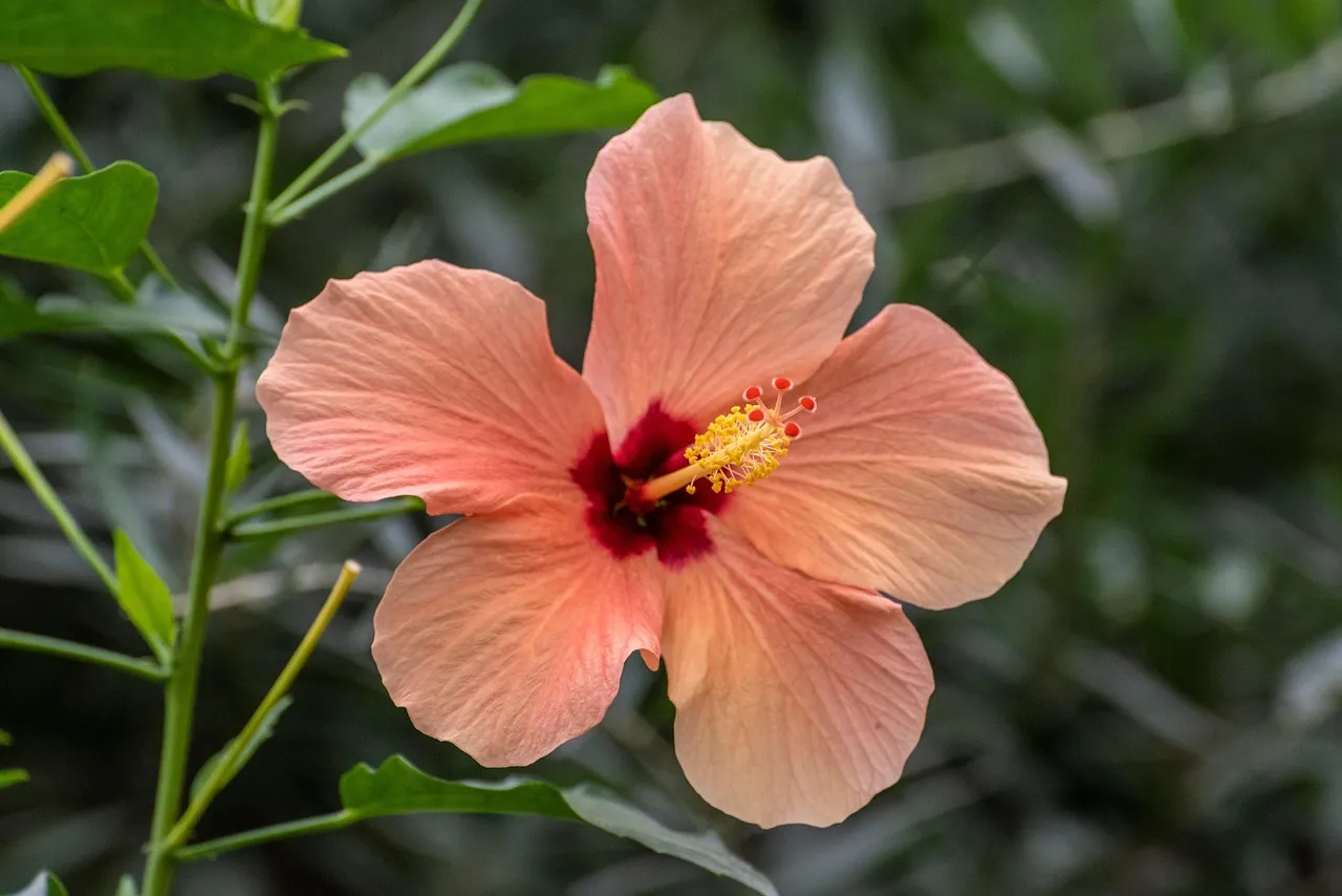 Un cerf-volant révolutionnaire produit de l'électricité en Chine : une avancée majeure !