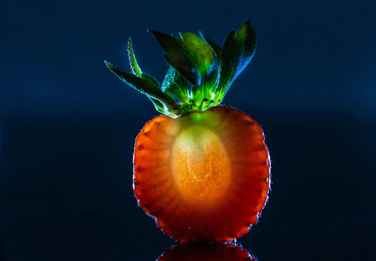 «Un champ de fraises pour l’éternité» : la vie insolite des campeurs permanents à l’écran selon Libération
