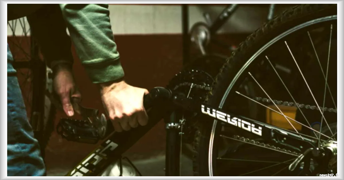 Un cheminot belge licencie pour avoir frauduleusement percu des indemnites velo