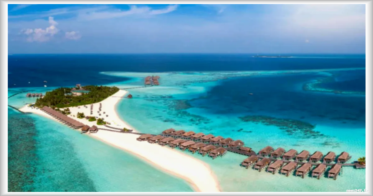Un couple en voyage de noces reste bloqué aux Maldives depuis 2 semaines et dépense plus de 6 000 dollars