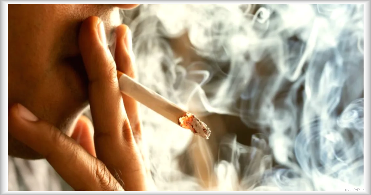 Un député propose de taxer les cigarettes pour financer la lutte contre les incendies