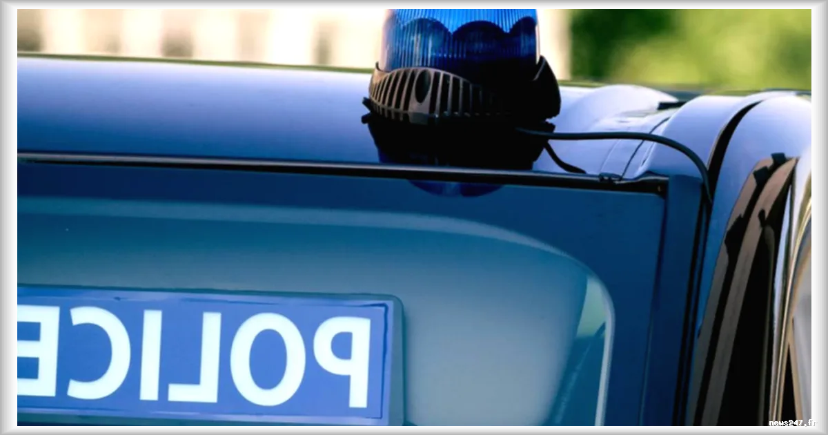 Un homme abattu à Mayotte après avoir agressé des gendarmes lors d'un contrôle routier