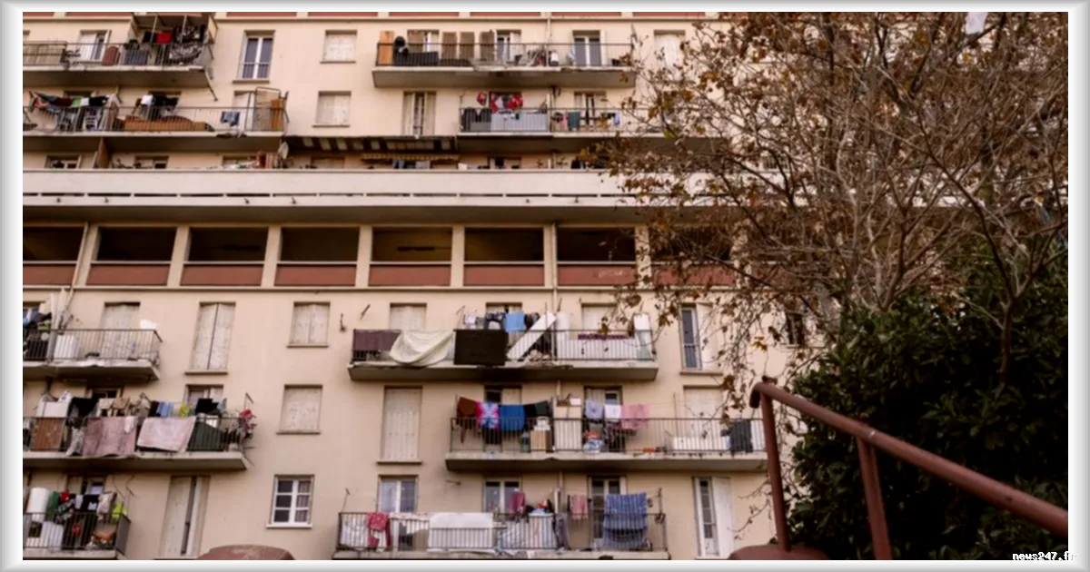 Un homme de 22 ans retrouvé mort au pied de la cité des Rosiers à Marseille : la brigade criminelle saisie