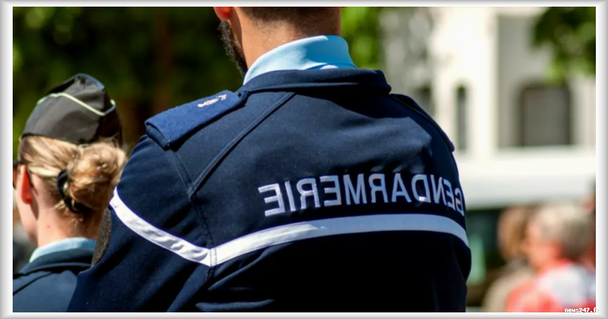 Un homme tué par balle et son frère blessé lors de leur interpellation en Haute-Marne