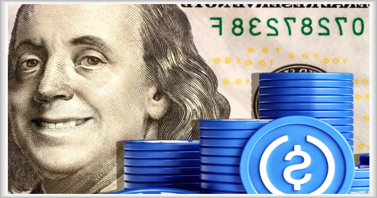 Un important service de streaming pour adultes abandonne l'USDT suite à l'application de la réglementation MiCA